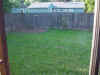 Back Yard 1.jpg (80215 bytes)