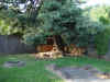 Back Yard 2 n.jpg (340512 bytes)