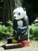 Panda 1 n.jpg (91077 bytes)