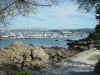 Monterey 01.jpg (204502 bytes)