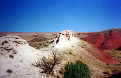 The Painted Desert Trail